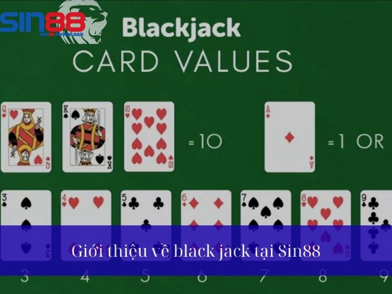 Giới thiệu về Black Jack tại Sin88